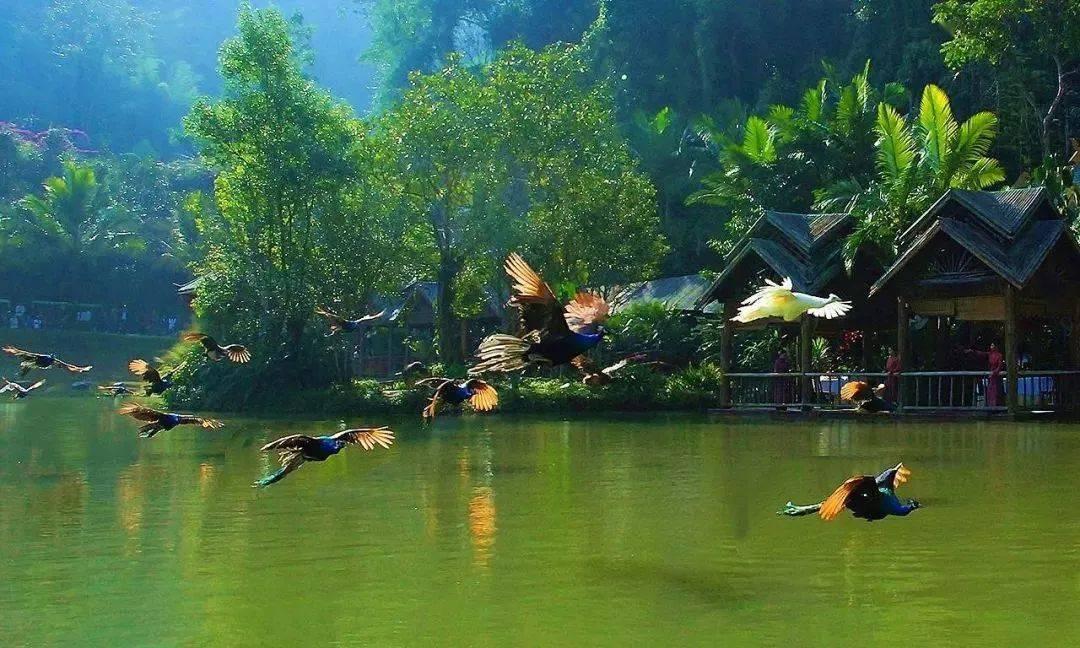 司马迁的取材与笔力：处处世情，直抵人心；一针见血，入木三分