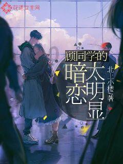 营救小乌龟