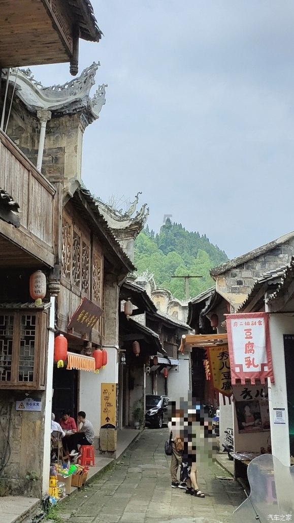 寻找萌小老虎